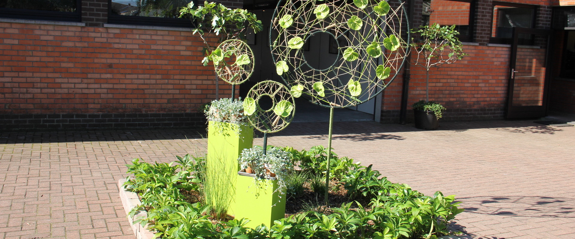 Basis Groenvoorziening en -decoratie