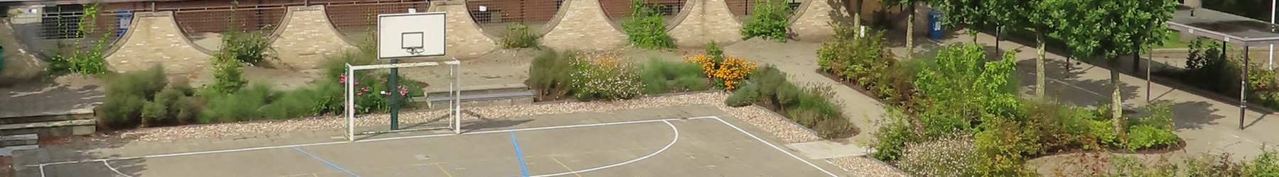 Sportdag niet-uitgaande jaren